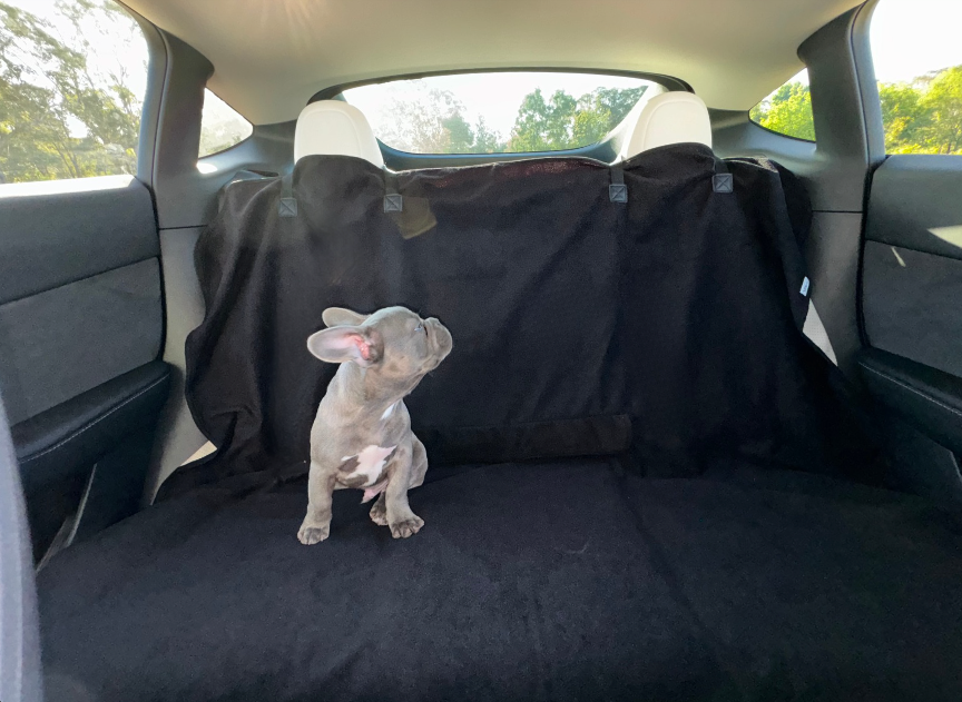French bulldog puppy sitting on The Original Seat Hoodie waterproof dog car seat cover in the back seat of a car, showing the middle Velcro access flap and full bench coverage