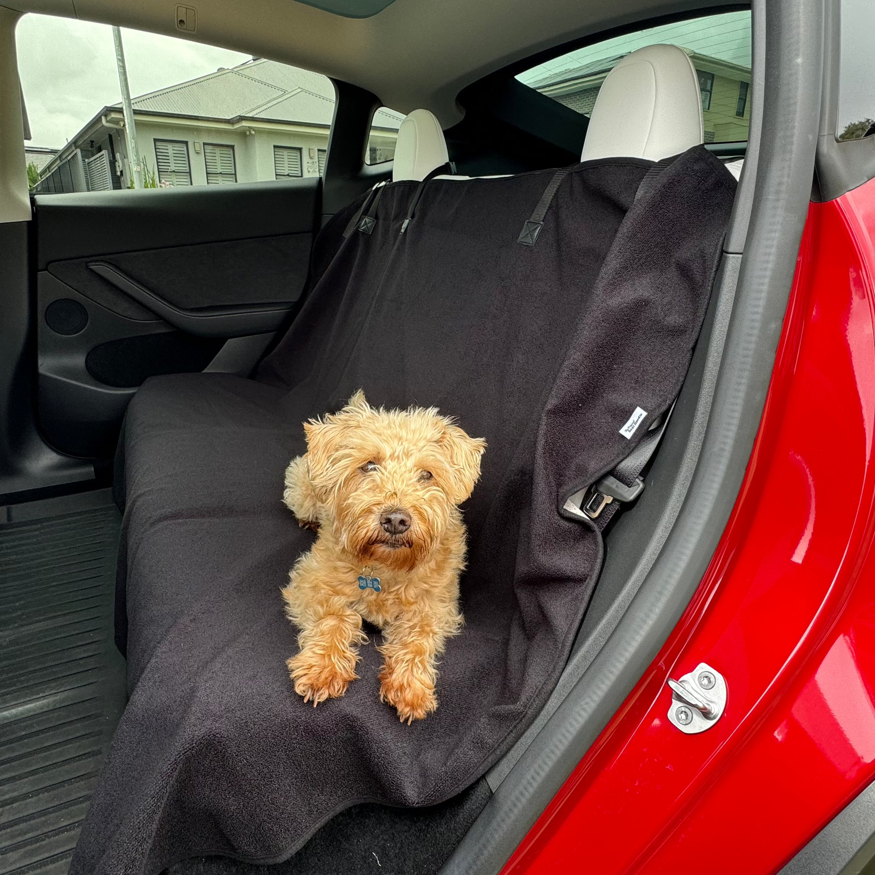 Back_Car_Seat_Towel_Black_side_dog_01