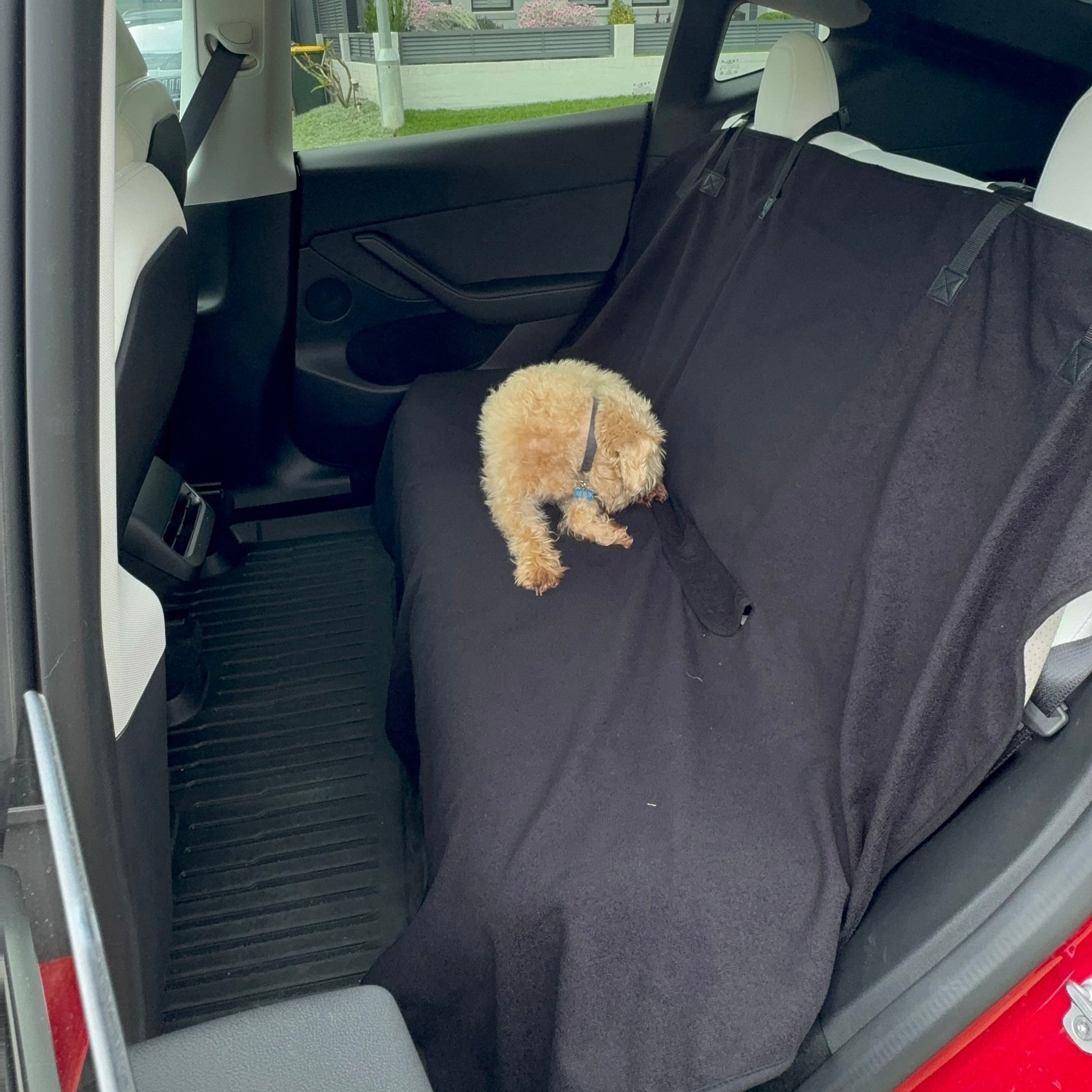 Back_Car_Seat_Towel_Black_sided_Dog_03