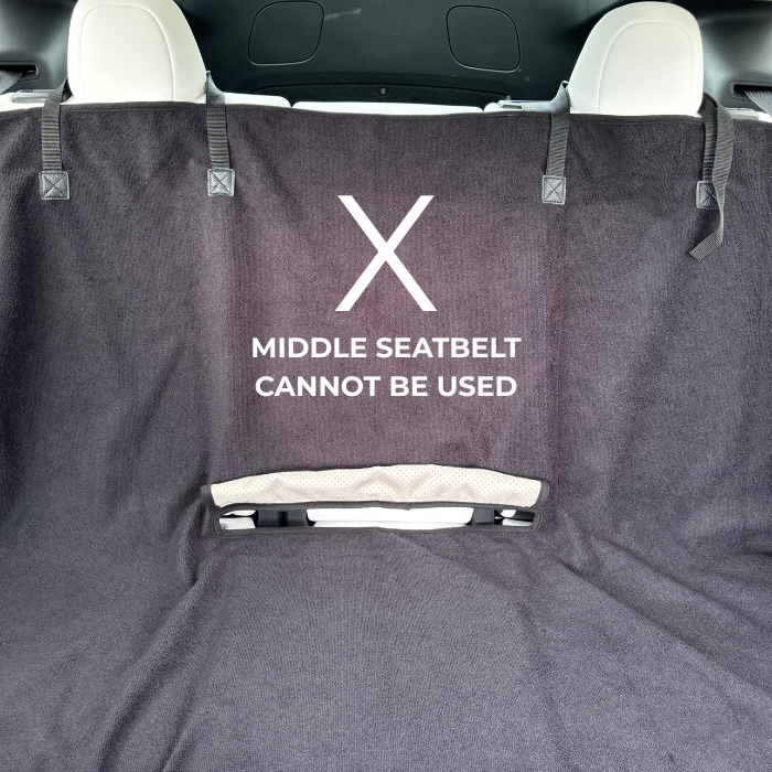 Back Seat Hoodie